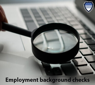 Employment background checks